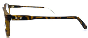 Radetzky snv02 C31 polar