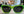Zeal Kennedy 10653 - occhiale da Sole Verde foto frontale